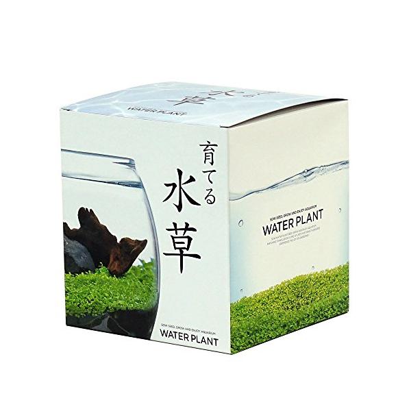 ・L 約18.2x16.5x16.4cm GD-813・・Size:約18.2x16.5x16.4cm・セット内容:ガラス鉢 土 種 石×2ヶ 流木 説明書・原産国:日本・サイズ:18.2x16.5x16.4cm・球体のガラス鉢に光が差し込...