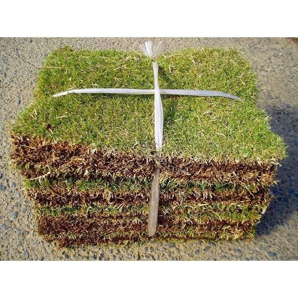 1枚のサイズは縦35cm、横25cm、10枚1組で1束です。1束で芝本体の面積が約0.875平米、目地（1〜3cmの隙間）をとって張り付ければ約1平米分の広さに使用できます。高麗芝は一般的な日本芝で、野芝に比べて芝質がきめ細やかなのが特徴で...