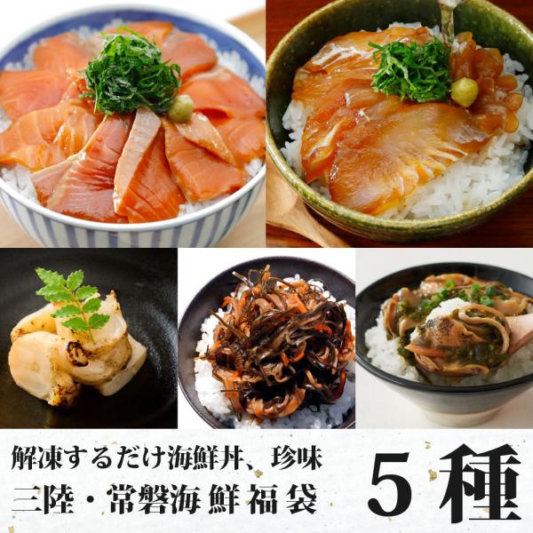 海鮮丼福袋セット5種 1~2人前 国産 冷凍 漬け丼 珍味 ヒラメ・銀鮭・サーモン お取り寄せギフト