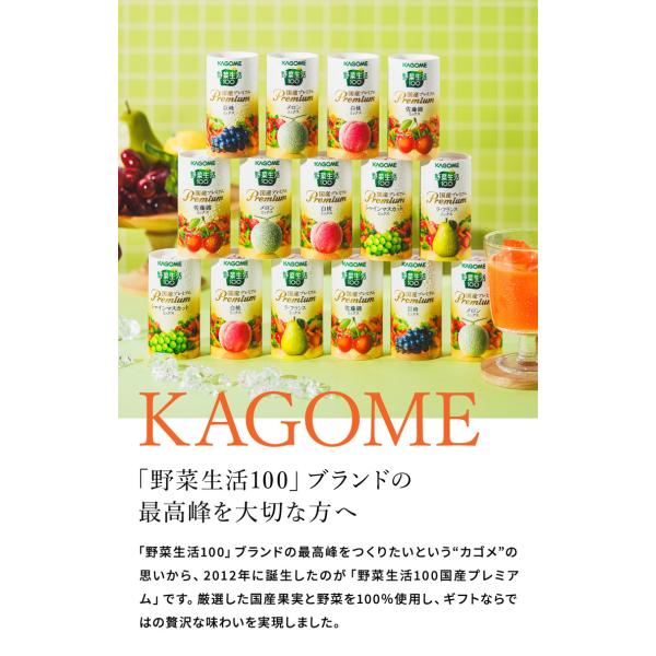 ������ 2026 �t���[�c�W���[�X �J�S�� ���Y�v���~�A�� KAGOME 14�{ YP-30S �������� / ��ؐ���100 �����i gws �M�t�g �v���[���g ���Ԃ� �c�������� ���i�摜2
