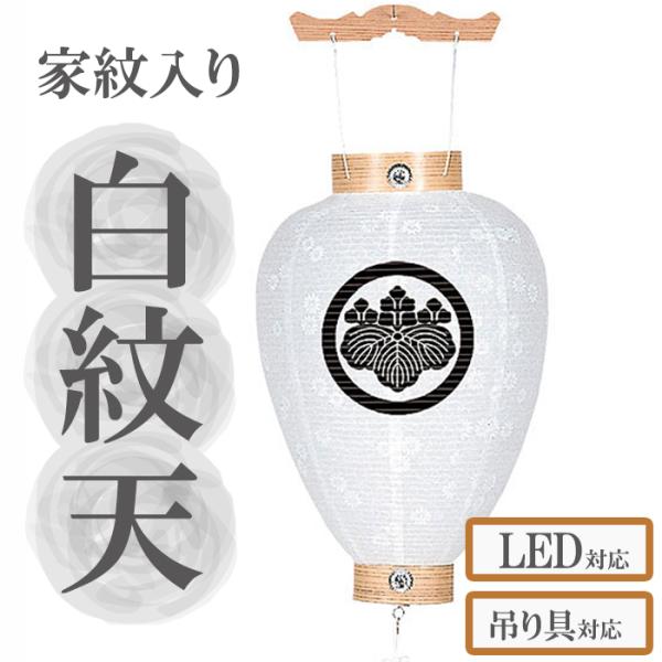 家紋入れ無料の新盆用白紋天提灯。お買い得商品です。【G52SM1062QL】