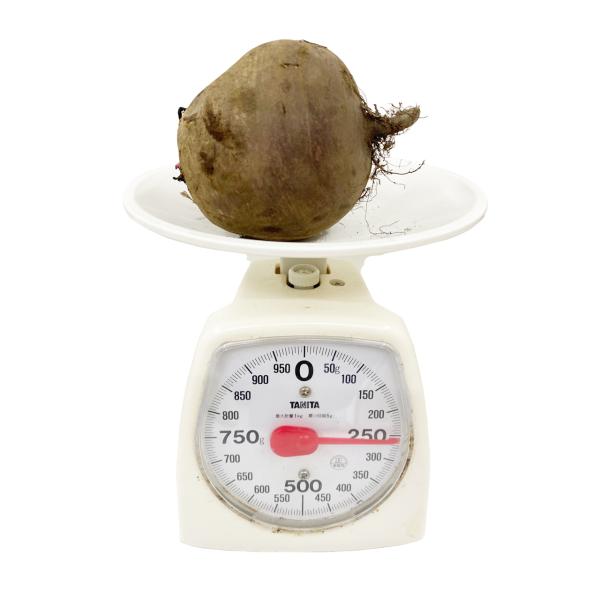 オープニング大セール】 現地直送 ご自宅用 Fresh Beet初夏収穫のスーパーフード ビーツ 訳ありビーツ 1kg 約4玉〜5玉 お客様に もっと安く販売するため発送方法選択 whitesforracialequity.org オープニング大セール】 現地直送 ご自宅用 Fresh Beet初夏収穫のスーパーフード ビーツ 訳ありビーツ 1kg 約4玉〜5玉 お客様に もっと安く販売するため発送方法選択 whitesforracialequity.org