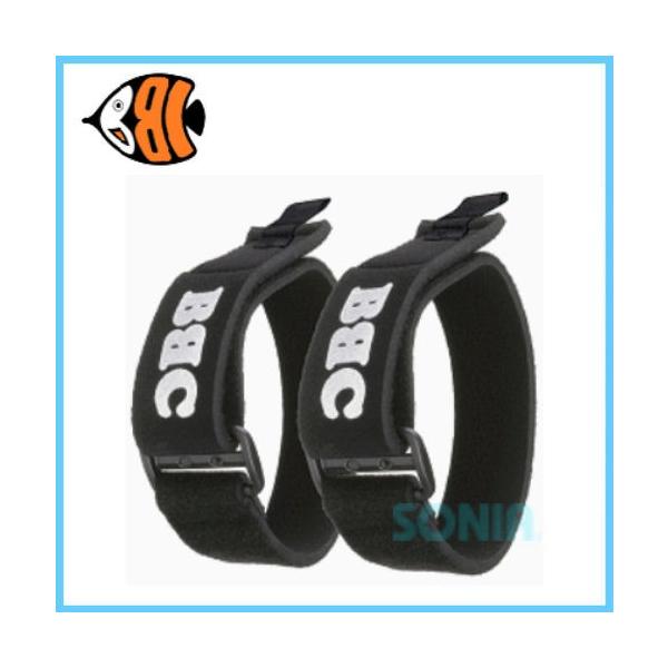 BBC�i�r�[�r�[�V�[�j ���X�g�A�W���X�g�o���h2�i2�{1�g�j