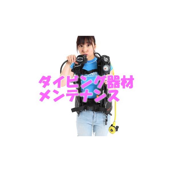 SONIAi\jAjI[o[z[@cvWCg