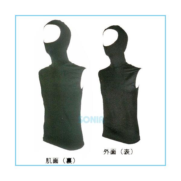 SONIAi\jAj zbgJvZ P2q[g t[htxXg HOTCAPSULE P2 HEATRON