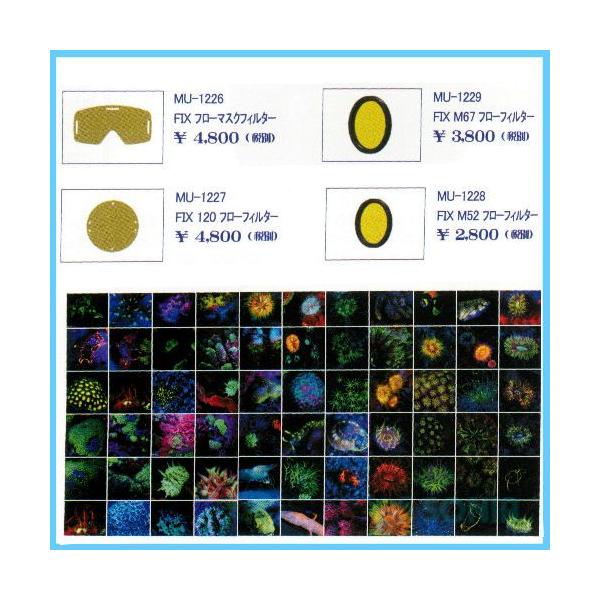 fisheye�i�t�B�b�V���A�C�j 30361 FIX M52 �t���[�t�B���^�[