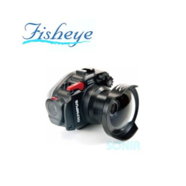 fisheye�i�t�B�b�V���A�C�j 20356 ZEN WA-100-EP �K���X�h�[���|�[�g