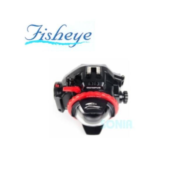 fisheye�i�t�B�b�V���A�C�j 20653 ZEN DP-100-EP 08�K���X�h�[���|�[�g