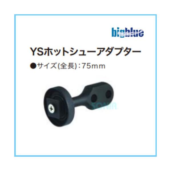 bigblue�i�r�b�O�u���[�j YS�z�b�g�V���[�A�_�v�^�[