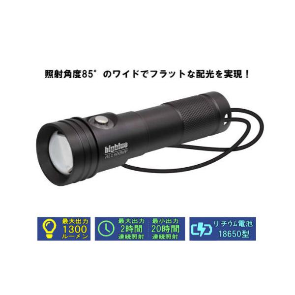 エポック水中ライト 2500ルーメン-