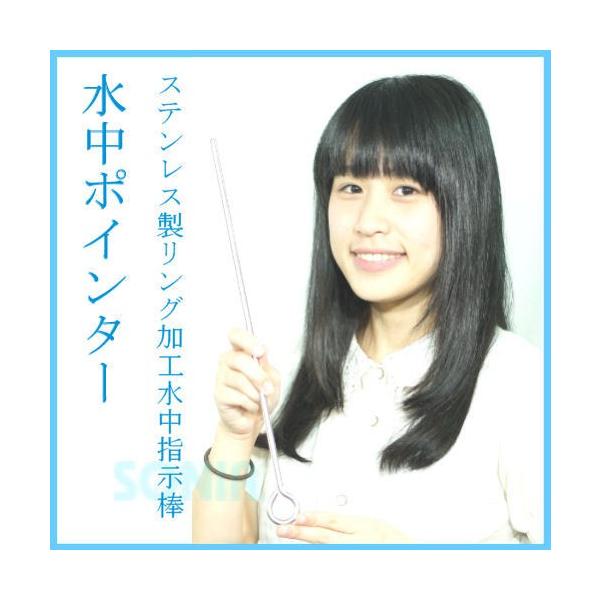 SONIAi\jAj XeX |C^[iw_j