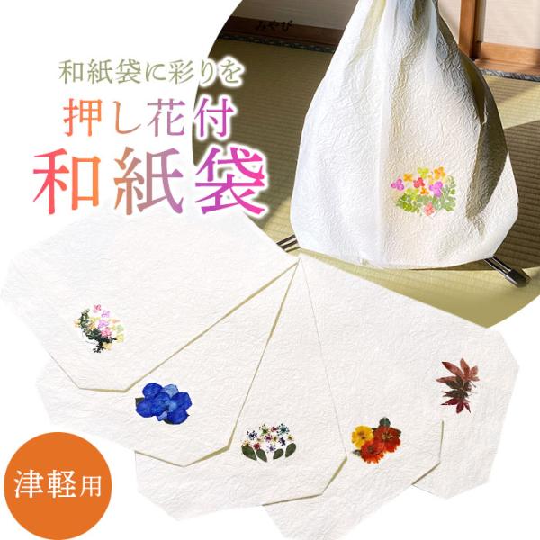 sonido-wagakki_sh200-020-0005