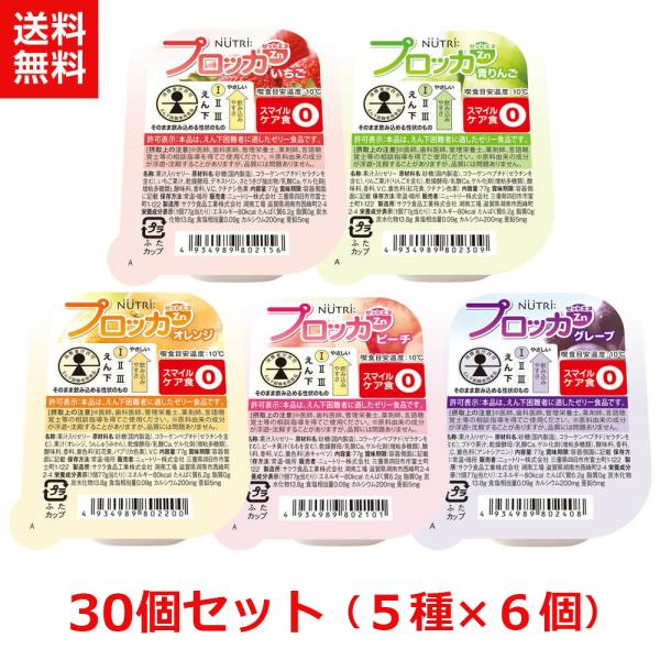 ニュートリー プロッカZn 計30個 (5種×6個)  いちご/ピーチ/オレンジ/青りんご/グレープ