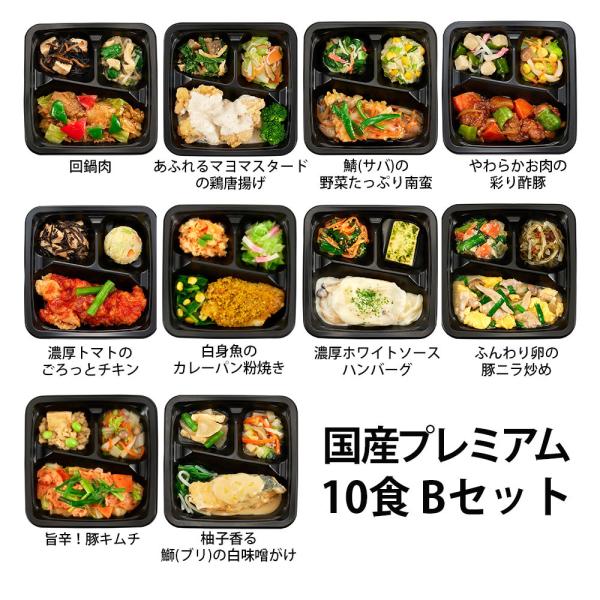 食のそよ風 国産プレミアム10食 Bセット (回鍋肉、白身魚のカレーパン粉焼き、濃厚トマトのごろっとチキンなど、全10種)