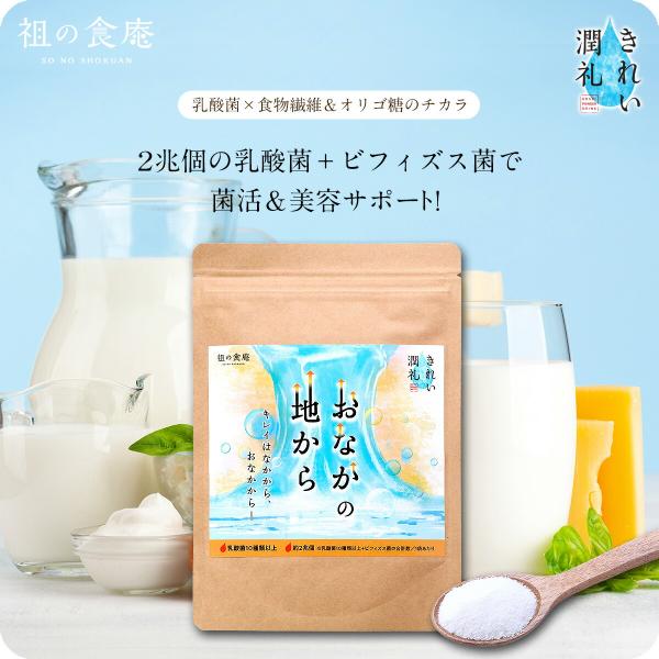 食の専門家が考案した菌活＆美容ドリンク 【きれい潤礼】おなかの地から100,000mg（約30杯分）砂糖不使用 乳酸菌17種類 ビフィズス菌6種 オリゴ糖 ポイント利用