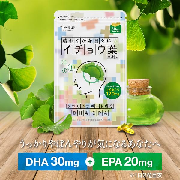 イチョウ葉 サプリ 約1ヵ月分 送料無料 DHA EPA ビタミンE イチョウの葉 いちょう葉 ポイント消化 ポイント利用 爆買