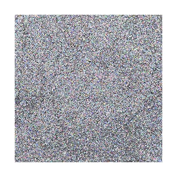 レインボー ラメ フレーク パウダー 0.2mm 六角 110g (レインボーシルバー)