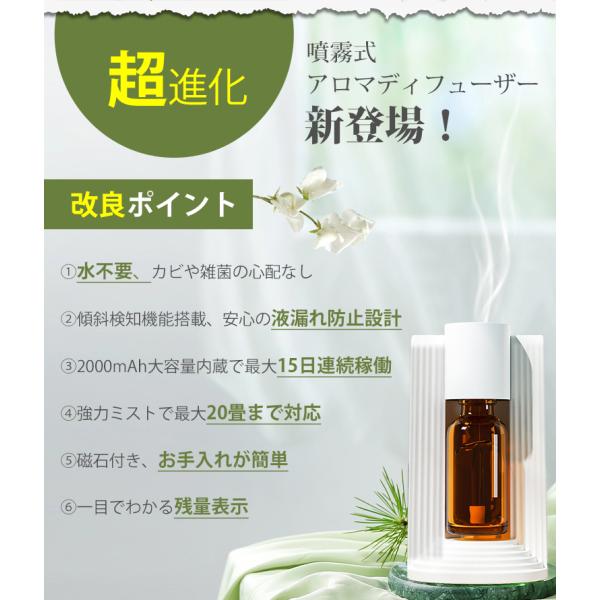 soppy-store_z302114_2_d_20250905184044