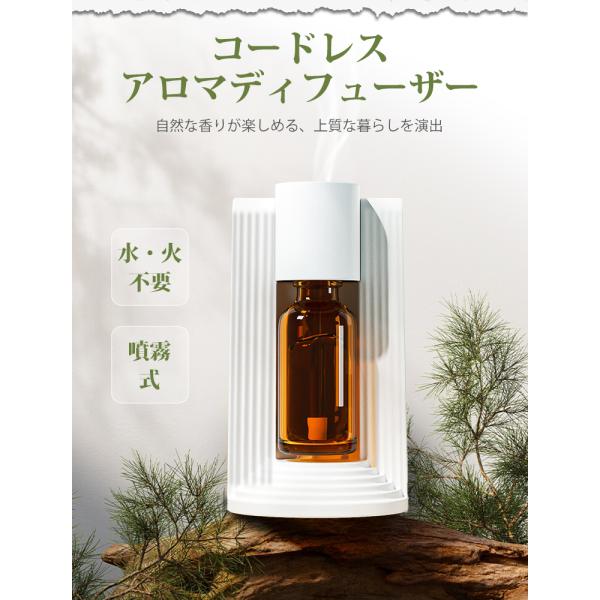 soppy-store_z302114_3_d_20250905184049