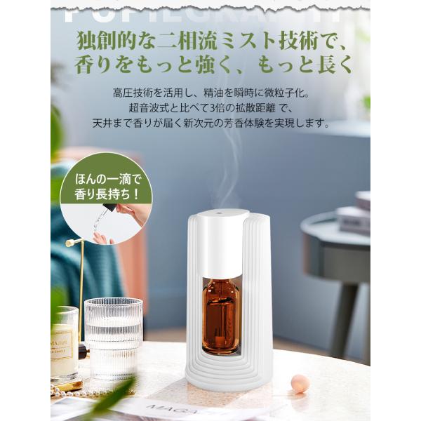 soppy-store_z302114_5_d_20250905184058