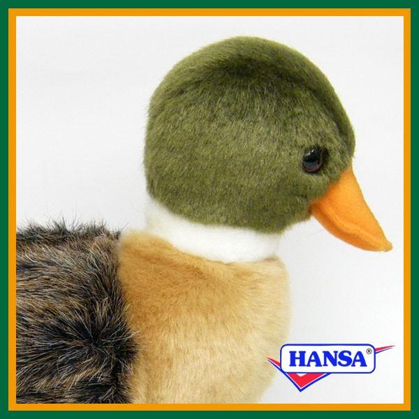 HANSA nT ʂ 2053 }K̎e  J  A 