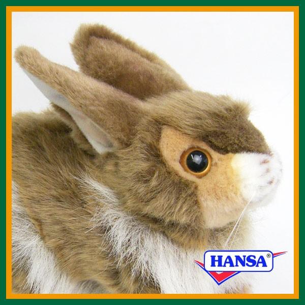 HANSA nT ʂ 2796 ETM  e A 