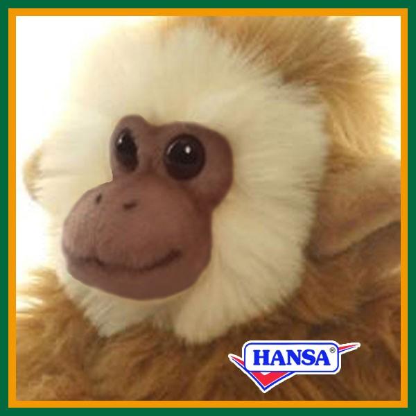 HANSA nT ʂ 2840 T  T A 