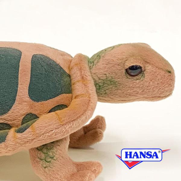 HANSA nT ʂ 3816 J T  A 