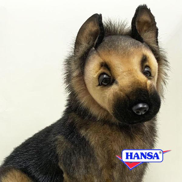 HANSA nT ʂ 3995 VFp[h̎e  RCk e q A 