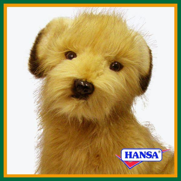 HANSA nT ʂ 3996 eA̎e  RCk e q A 