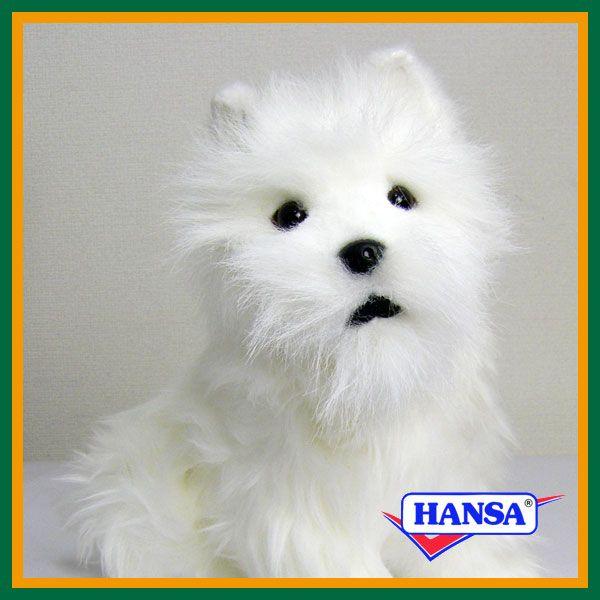 HANSA nT ʂ 4127 EGXgnCheA  Ck A 