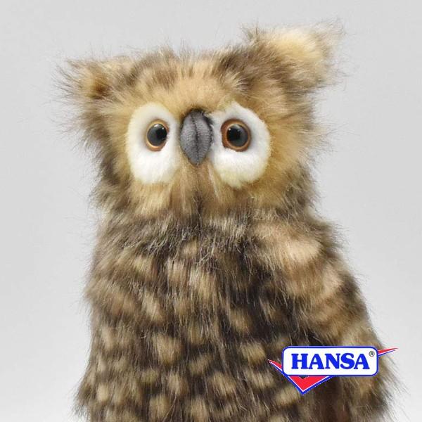 HANSA nT ʂ 4465 tNE ӂ낤  A 