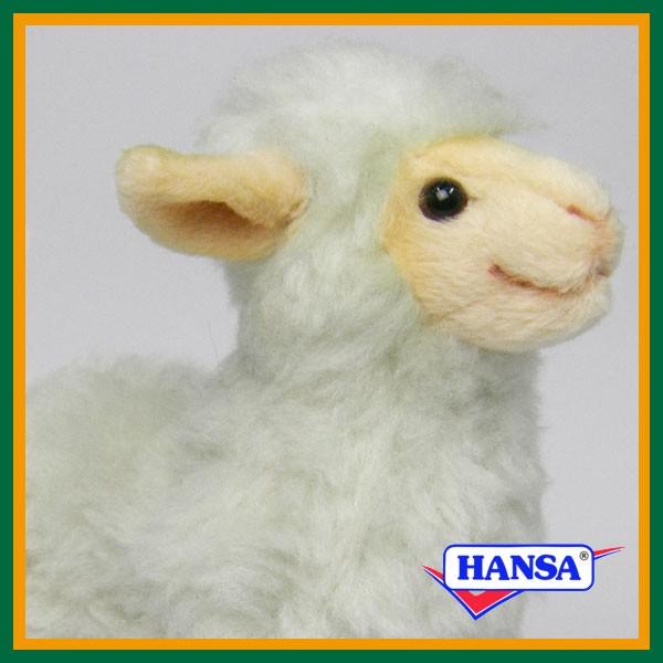 HANSA nT ʂ 4562 qcW̎e r Ђ qr er A 