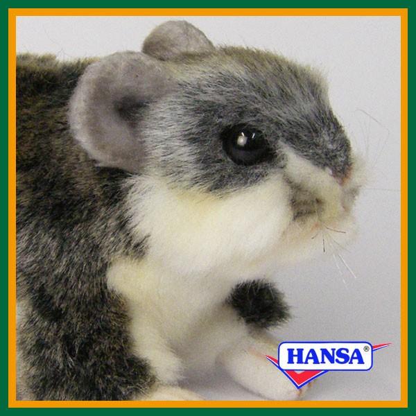 HANSA nT ʂ 4834 WKAnX^[ l ˂ A 