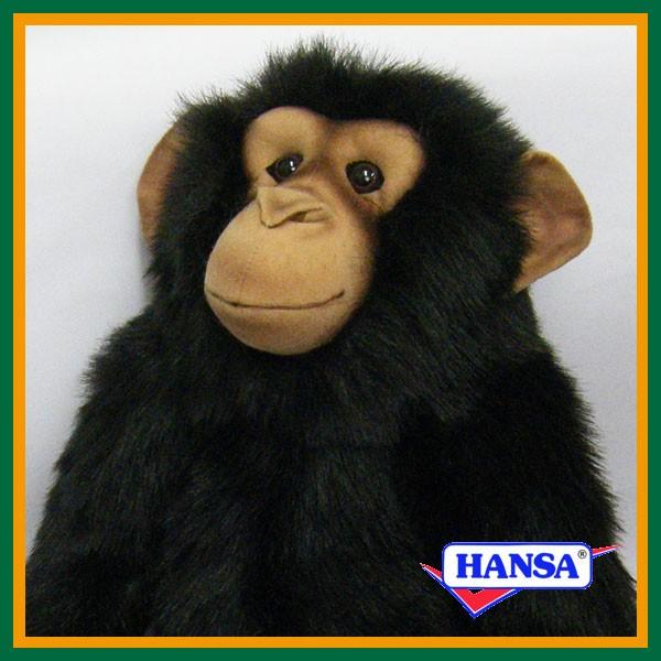 HANSA nT ʂ 4988 `pW[  T A 