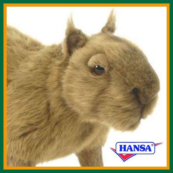 HANSA nT ʂ 5128 Jso ҂΂ A 