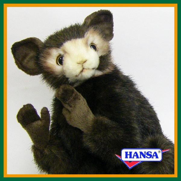 HANSA nT ʂ 5166 ACAC rU  T A 