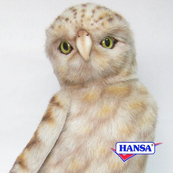 HANSA nT ʂ 5203 AitNE ӂ낤 AiztNE A 