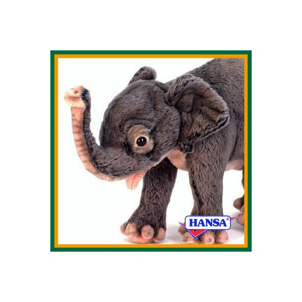 HANSA nT ʂ 5698 ]E̎e e R]E  A 