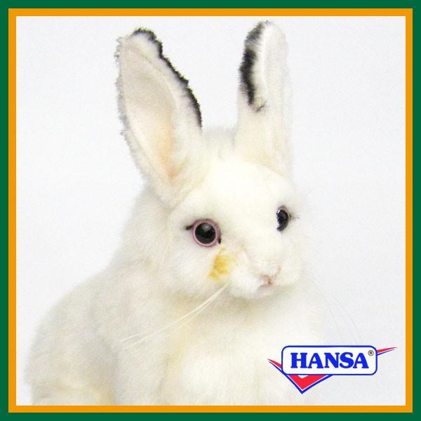 HANSA nT ʂ 5842 ETM ETM  e A 