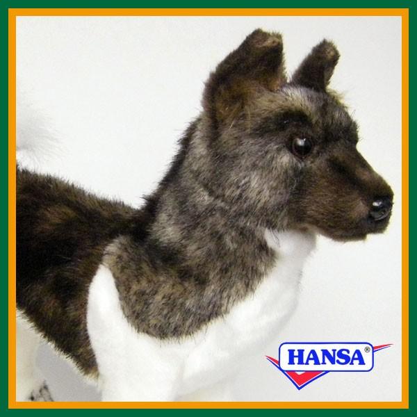 HANSA nT ʂ 6143 Hc  Ck A 