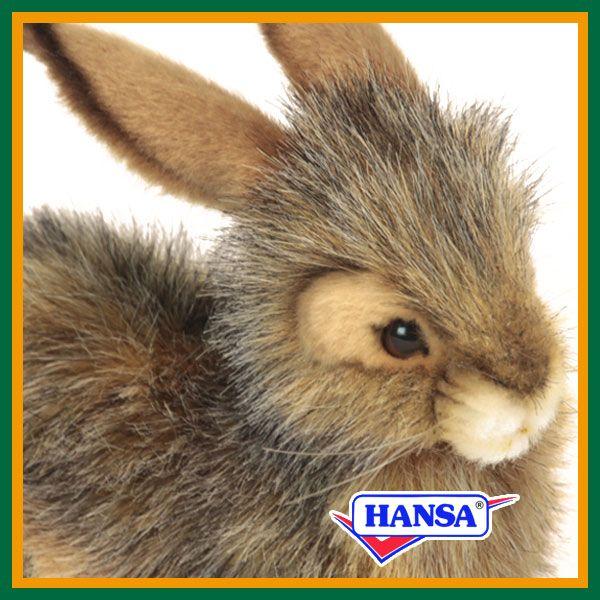 HANSA nT ʂ 6284 IOETM ETM  e A 