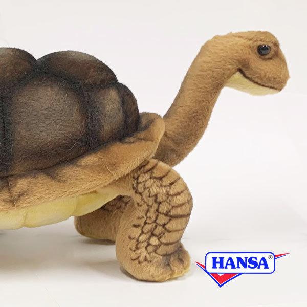 HANSA nT ʂ 6461 ]EK T J  A ঒