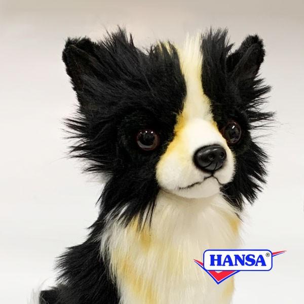 HANSA nT ʂ 6504 `  Ck A 
