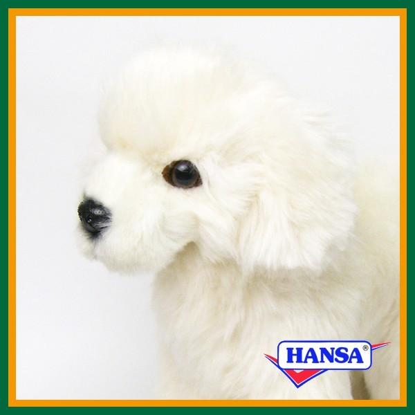 HANSA nT ʂ 6583 e  RCk q A 