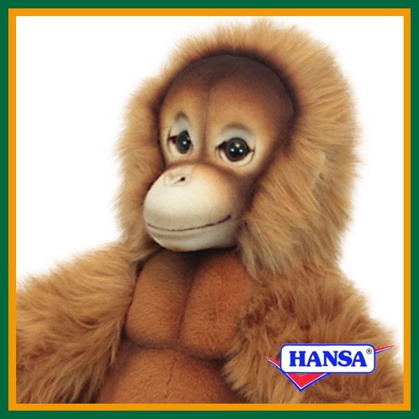 HANSA nT ʂ 6698 IE[^  T A 