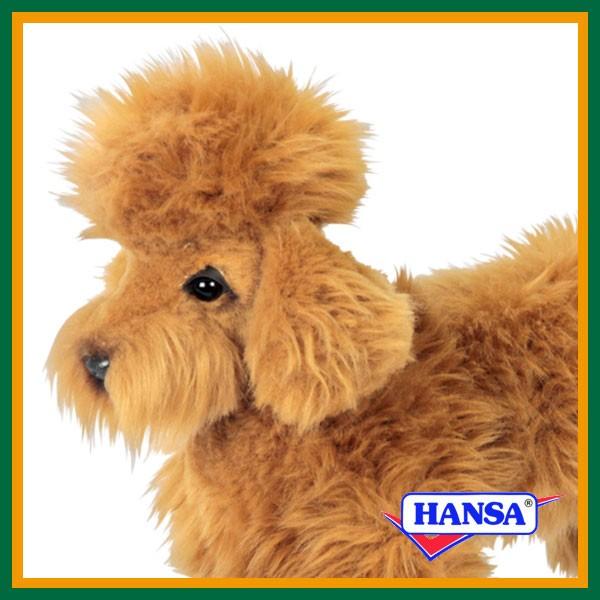 HANSA nT ʂ 6786 v[h  Ck A 