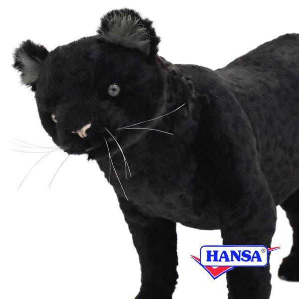 HANSA nT ʂ 7006 NqE ^ qE A 