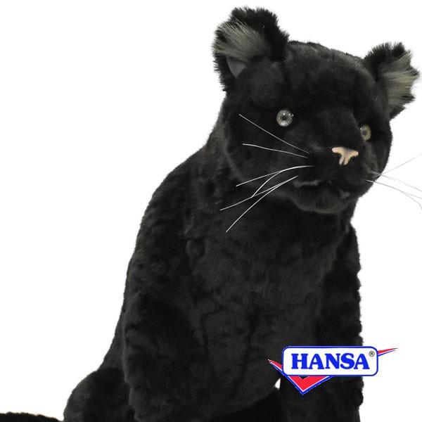 HANSA nT ʂ 7007 NqE ^ qE A 