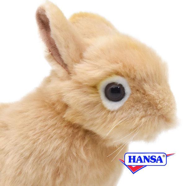 HANSA nT ʂ 7022 lU[hh[trbg ETM  e A 